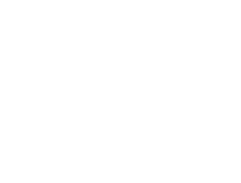 The Backyard